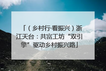 （乡村行·看振兴）浙江天台：共富工坊“双引擎”驱动乡村振兴路