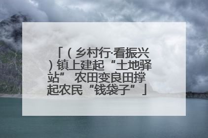 （乡村行·看振兴）镇上建起“土地驿站” 农田变良田撑起农民“钱袋子”