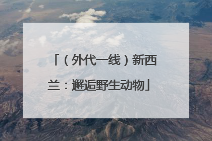 （外代一线）新西兰：邂逅野生动物