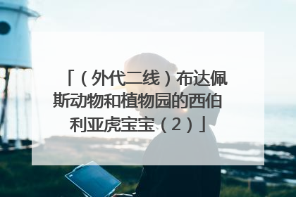 （外代二线）布达佩斯动物和植物园的西伯利亚虎宝宝（2）