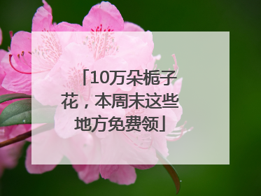 10万朵栀子花，本周末这些地方免费领