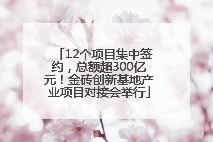 12个项目集中签约，总额超300亿元！金砖创新基地产业项目对接会举行