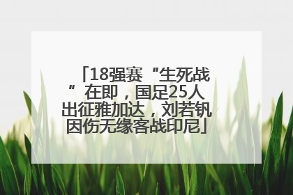 18强赛“生死战”在即，国足25人出征雅加达，刘若钒因伤无缘客战印尼