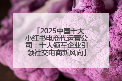 2025中国十大小红书电商代运营公司：十大领军企业引领社交电商新风向