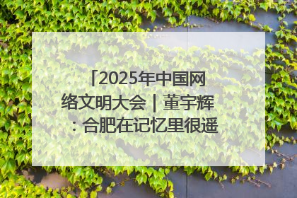 2025年中国网络文明大会｜董宇辉：合肥在记忆里很遥远也很亲切