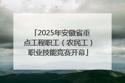 2025年安徽省重点工程职工（农民工）职业技能竞赛开幕