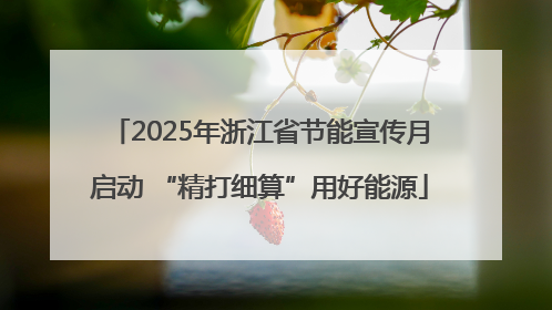 2025年浙江省节能宣传月启动 “精打细算”用好能源