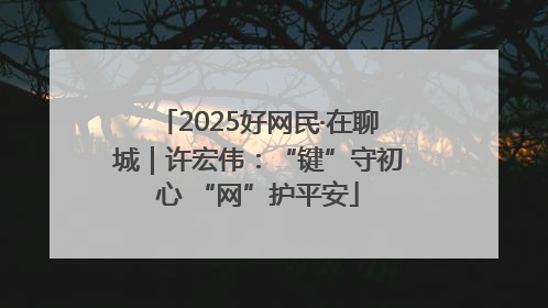 2025好网民·在聊城｜许宏伟：“键”守初心 “网”护平安