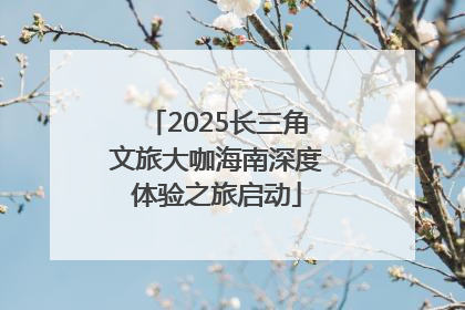 2025长三角文旅大咖海南深度体验之旅启动