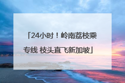 24小时！岭南荔枝乘专线 枝头直飞新加坡