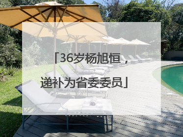 36岁杨旭恒，递补为省委委员