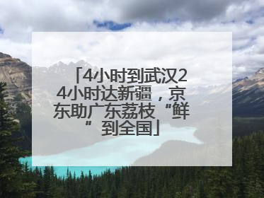 4小时到武汉24小时达新疆，京东助广东荔枝“鲜”到全国
