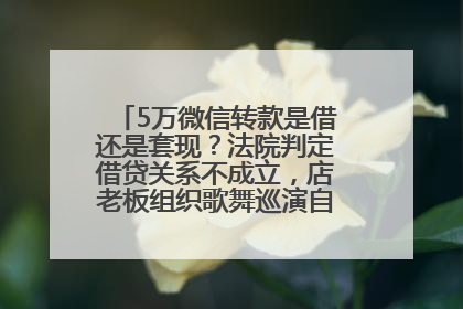 5万微信转款是借还是套现？法院判定借贷关系不成立，店老板组织歌舞巡演自我“恢复名誉”