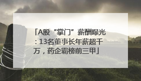 A股“掌门”薪酬曝光：13名董事长年薪超千万，药企霸榜前三甲