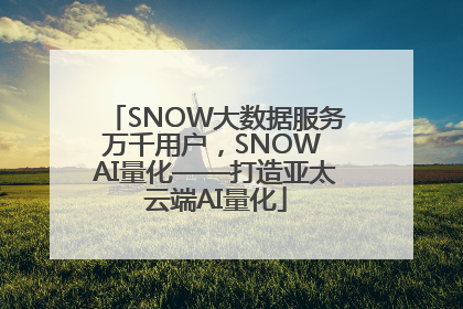 SNOW大数据服务万千用户，SNOW AI量化——打造亚太云端AI量化