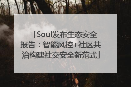 Soul发布生态安全报告：智能风控+社区共治构建社交安全新范式